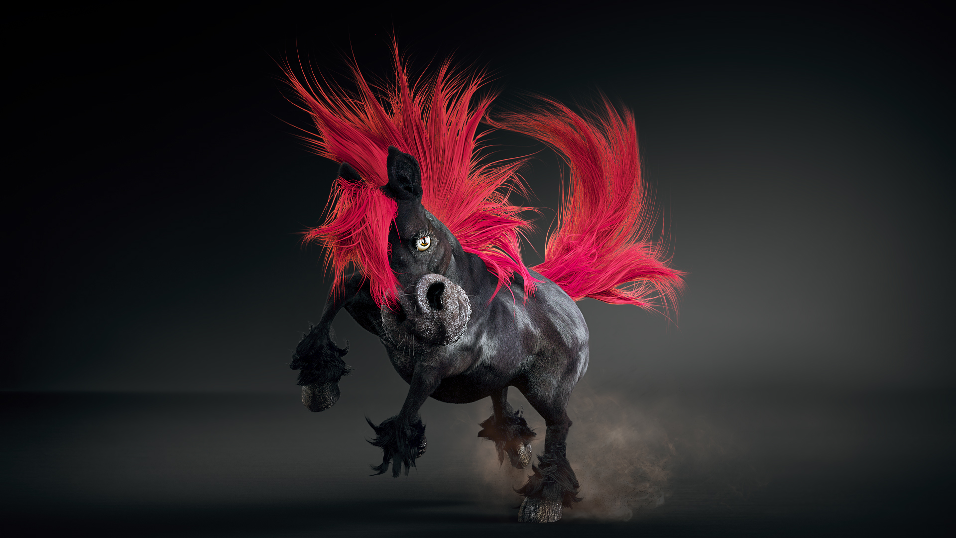 Toppen Image